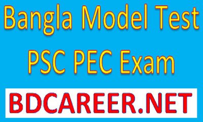 PSC Bangla Model Test 2020