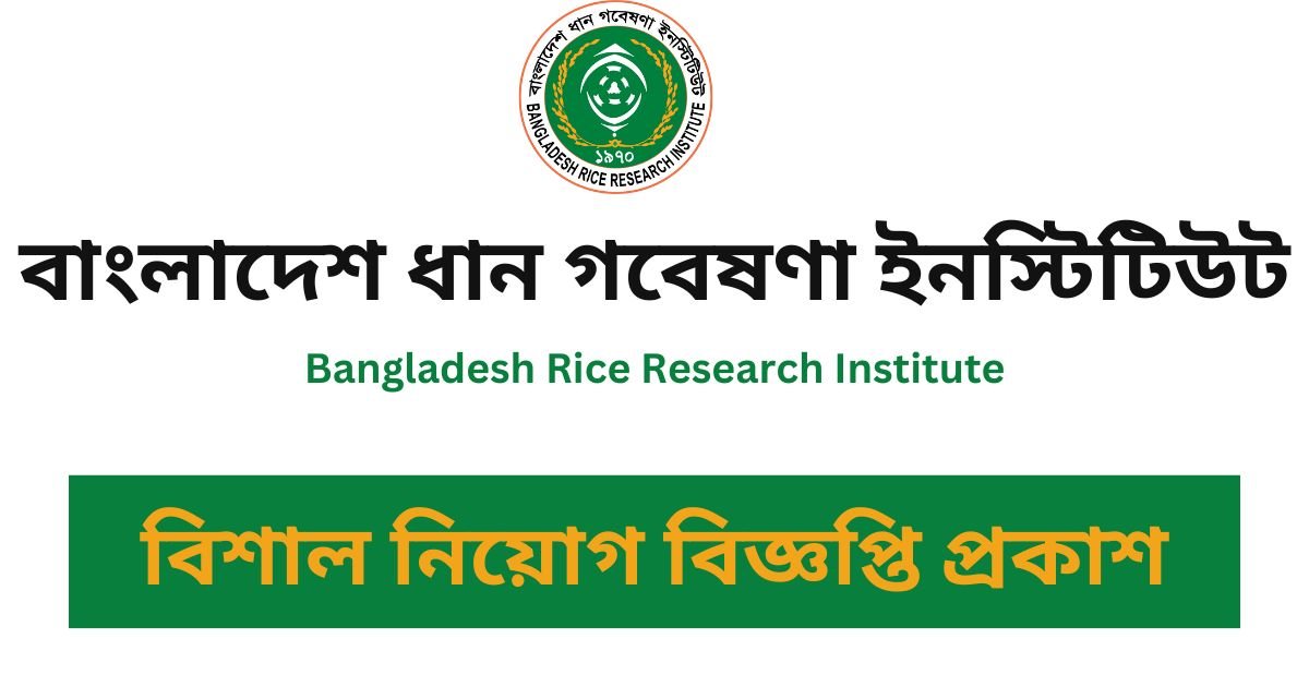 BRRI Job Career